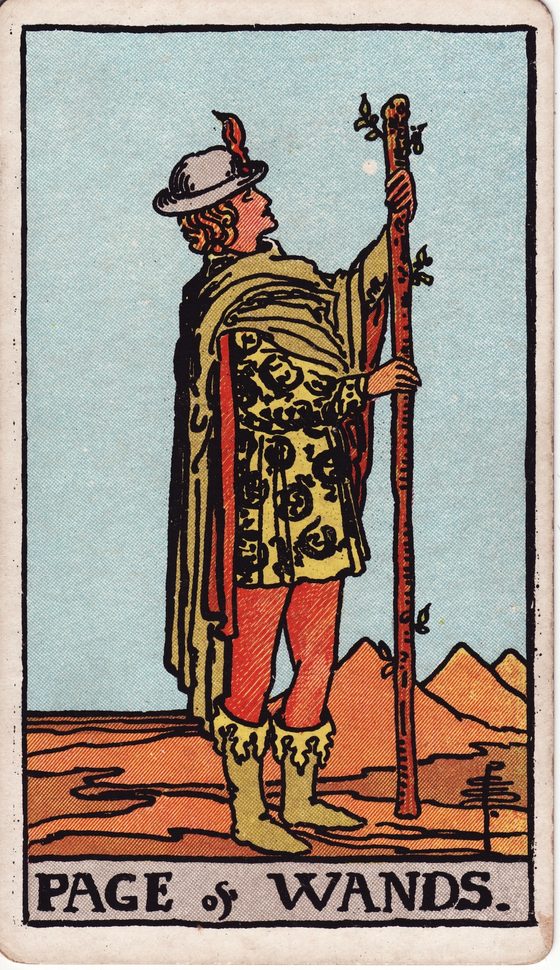Valete de Paus — carta do tarô Rider-Waite